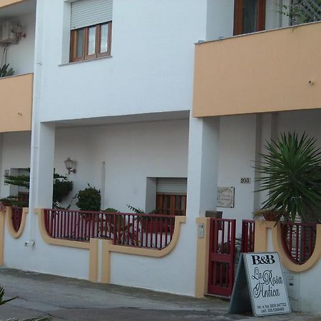 B&B La Rosa Antica Castro  Bagian luar foto