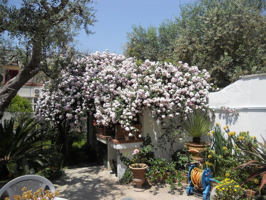B&B La Rosa Antica Castro  Bagian luar foto