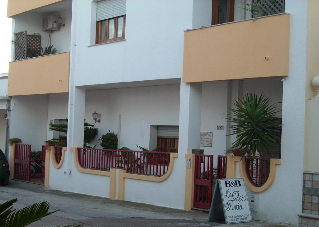B&B La Rosa Antica Castro  Bagian luar foto